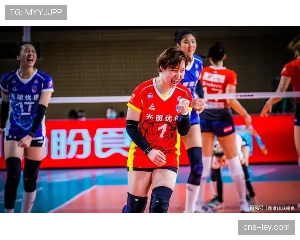 女排世俱杯天津外援引关注 资格审核程序进行中